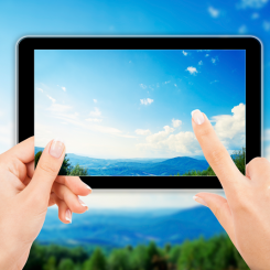 Web Design & Development Web Design & Development